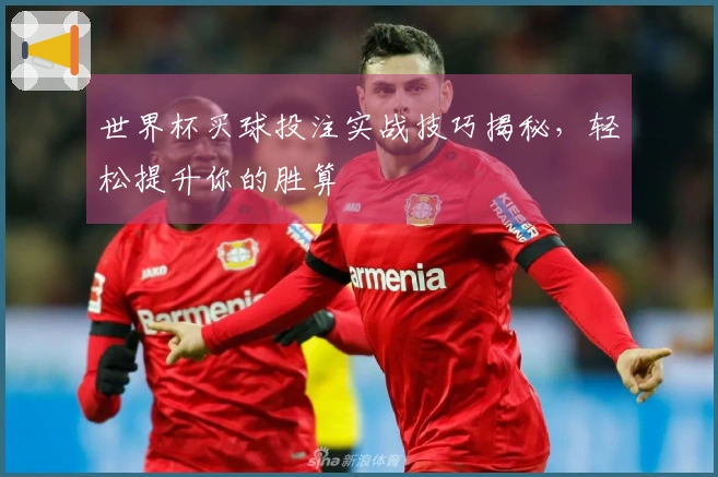 世界杯买球投注实战技巧揭秘，轻松提升你的胜算
