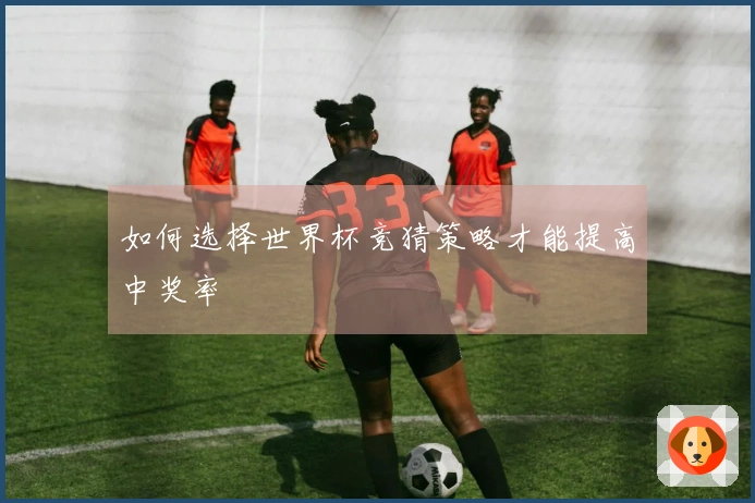 如何选择世界杯竞猜策略才能提高中奖率