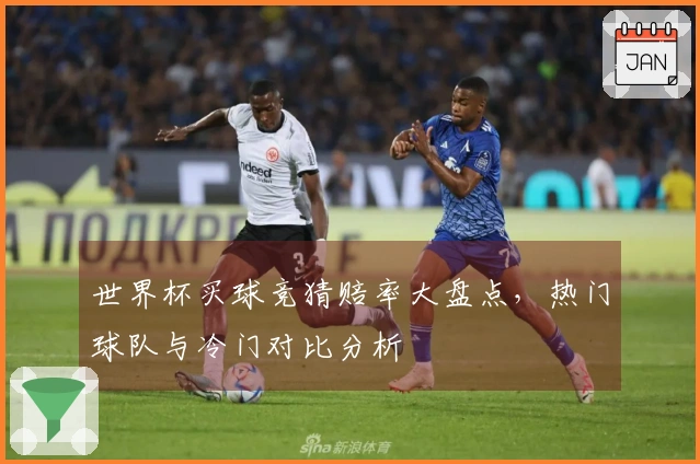 世界杯买球竞猜赔率大盘点，热门球队与冷门对比分析