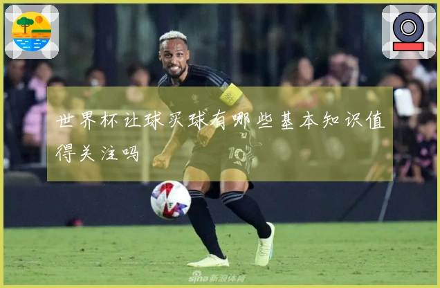世界杯让球买球有哪些基本知识值得关注吗